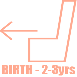 Rearward Facing Birth-2-3 Years